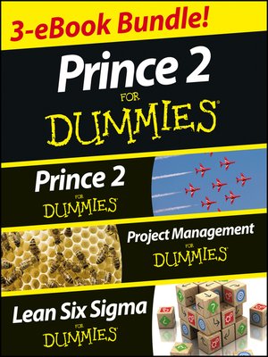 cover image of PRINCE 2 For Dummies Three e-book Bundle